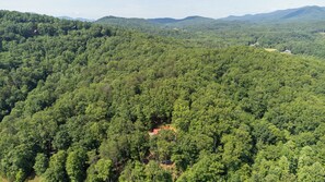 Aerial View | Forested Location
