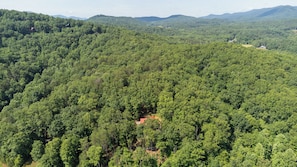 Aerial View | Forested Location