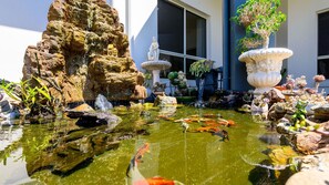 Recharge while watching the koi fish swimming in harmony