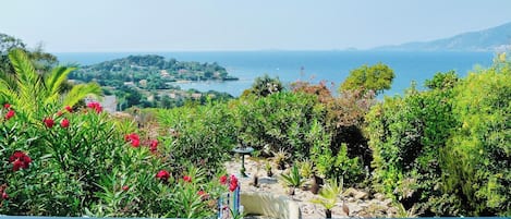 Vue de la terrasse couverte