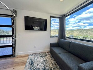 Flat Screen TV with Pullout Couch Bed