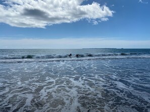 Safe swimming beach and fun waves