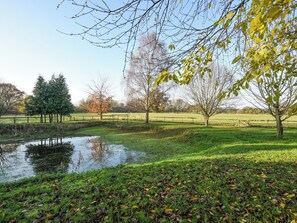 Garden and grounds | Millers Loft, Hanwood