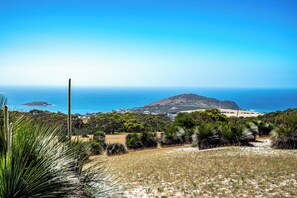 Bluff View