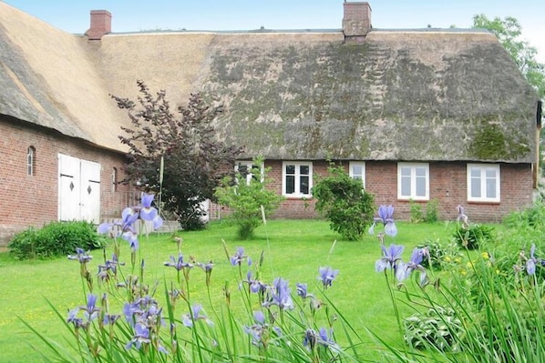 Feriebolig udendørs (sommer)