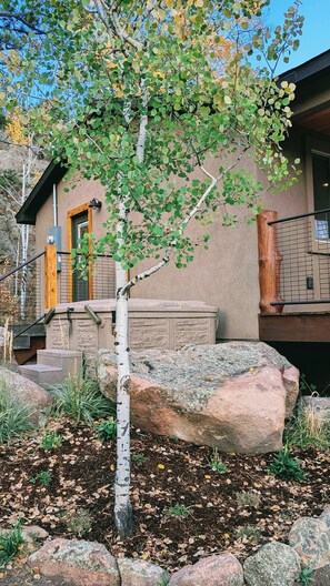 Exterior detail