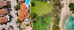Albero Bella Villa 1 (11937)