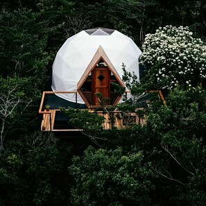 Balcony Cabin 2