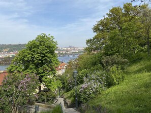 Baum, Natur, Vegetation, Strauch, Landschaft, Frühling, Garten, Walkway, Landscaping