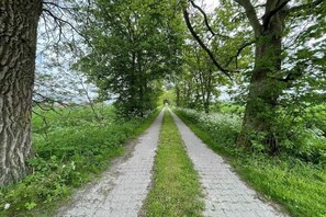Verschiedenes