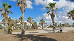 Omgeving bij het Playa Flamencastrand
