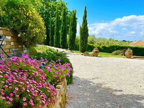 Lovely garden: lush greenery, colourful flowers, and serene beauty.