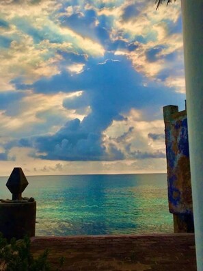 Back Yard (1)