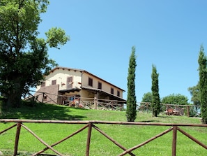 Trädgård