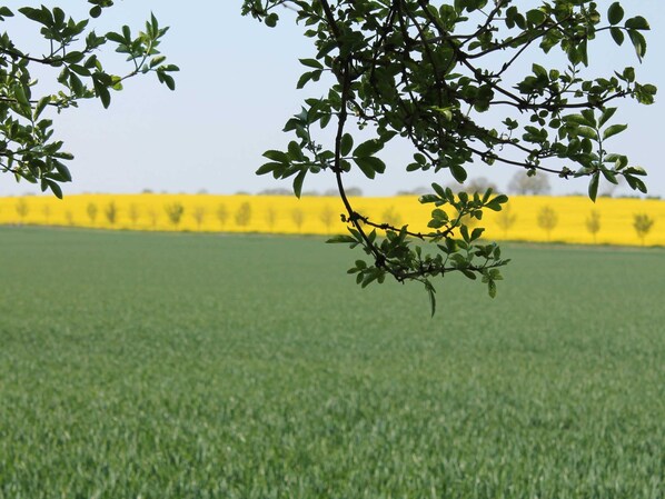 Blick von der Unterkunft
