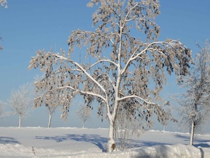 Utsikt från boendet