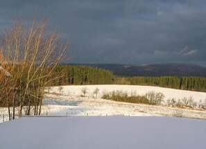 Utsikt från boendet