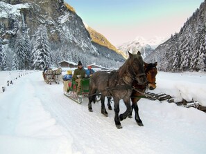 Utsikt från boendet