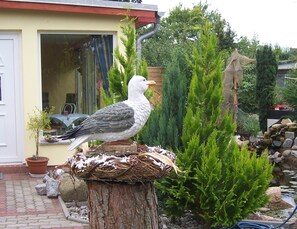 Trädgård