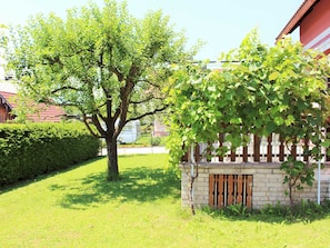 Trädgård