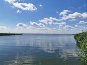 庭園