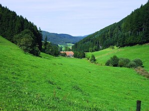 Utsikt från boendet