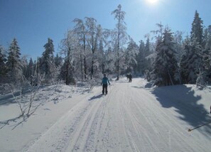 Udsigt fra overnatningsstedet