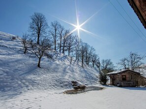 Trädgård