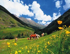 Vista dalla struttura