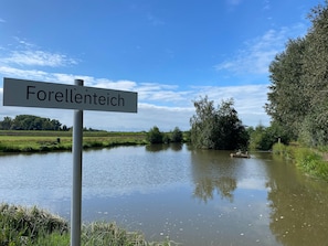 Utsikt från boendet