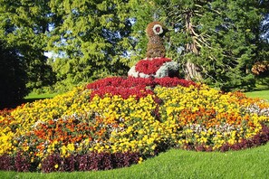 Giardino