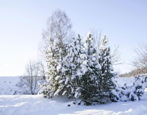 Utsikt från boendet