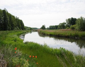 Utsikt från boendet
