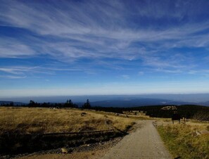 Vista desde la propiedad