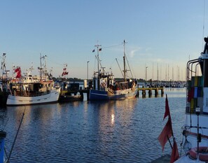 Utsikt från boendet