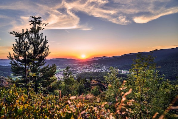 View from property