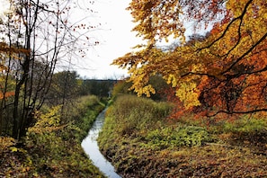 Utsikt från boendet