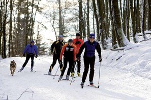 Utsikt från boendet