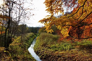 Vista dalla struttura