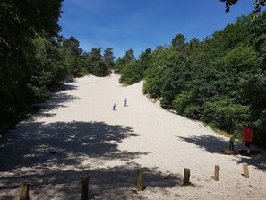 Utsikt från boendet