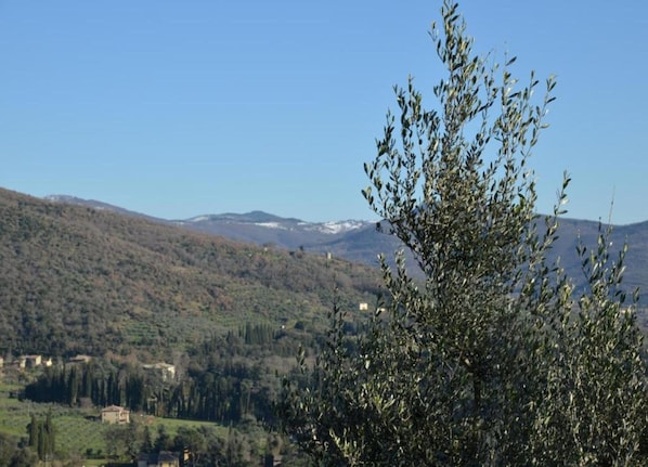 Blick von der Unterkunft