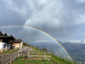 Esterni