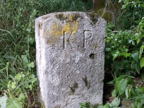 Utsikt från boendet