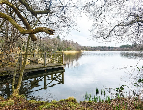 Utsikt från boendet