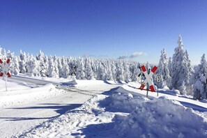 Vue depuis l’hébergement