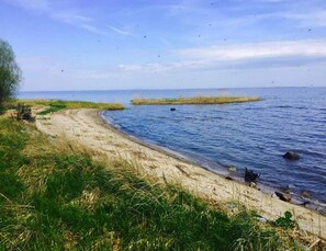 Utsikt från boendet