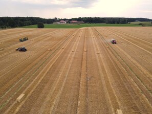Vista dalla struttura