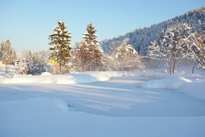 Vista dalla struttura