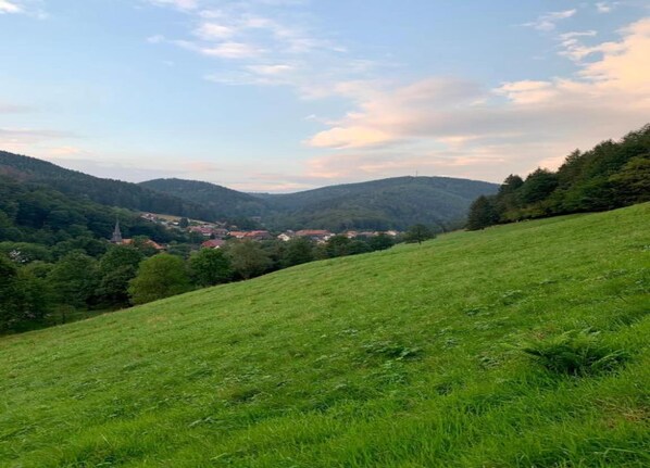 Vista desde la propiedad