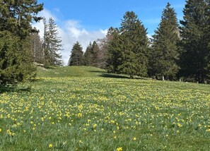 Vista dalla struttura